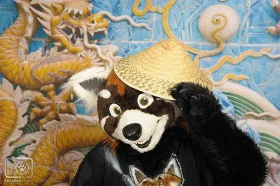 Nash the Red Panda